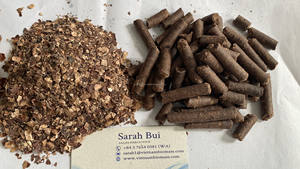 Granulé de noix de cajou de qualité supérieure GIA NGUYEN pour le bronzage - Product Image 5