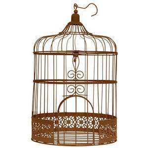 Jaula de Metal Multifuncional para Pájaros y Uso Decorativo, Apta para Hogar, Jardín, Eventos y Tiendas - Product Image 5