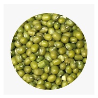 Haricot Mungo Vigna Radiata de Qualité Supérieure pour la Cuisson, la Germination et la Transformation Alimentaire, Disponible à l'Exportation
