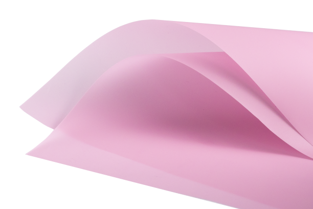 ปลาแซลมอน