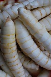 Poudre d'amidon d'arrowroot de qualité alimentaire supérieure, pureté élevée, agent épaississant naturel blanc pour sauces et pâtisseries, exportateur Vietnamien - Product Image 2