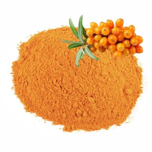 OEM/ODM Polvo de Baya de Espino Amarillo 100% Puro, Rico en Omega 3, Vitamina, Polvo de Fruta de Espino Amarillo Seca al Mejor Precio desde India - Product Image 1