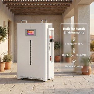 Batterie solaire 15 kWh en stock aux Philippines, 51,2 V 300 Ah, batterie LiFePO4 à cycle profond pour système solaire hybride hors réseau - Product Image 5