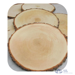 BEST SELLER Sous-verre en bois écologique avec poignée pour hôtel, restaurant, cuisine – Design moderne et durable – Vente en gros Vietnam - Product Image 2