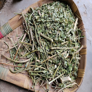 Passiflora Incarnata Supplier From India - Product Image 1