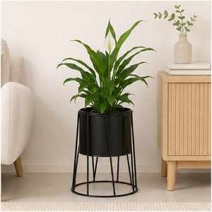 Modern Minimalist Metal Plant <b>Stand</b> with Detachable Planter <b>Pot</b> Matte Black Wrought Iron Flower Holder for Indoor Living Room - Product Image 2