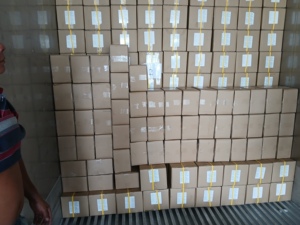 Collations de papaye séchée moelleuse du Vietnam, fraîches, déshydratées, fournisseur en gros, fabricant, exportateur, expédition mondiale - Product Image 6