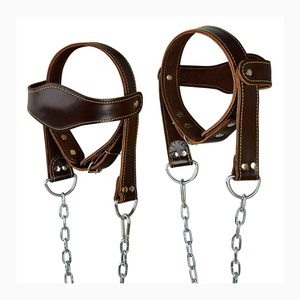 Arnés de Cuello de Alto Rendimiento con Ajuste Regulable para Ejercicios de Desarrollo Muscular Seguros y Efectivos - Product Image 1