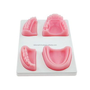Almohadilla de Entrenamiento de Sutura Dental, Modelo Anatómico de Silicona 3D, Apto para Principiantes, Proveedor Mayorista de Instrumentos Dentales - Product Image 6