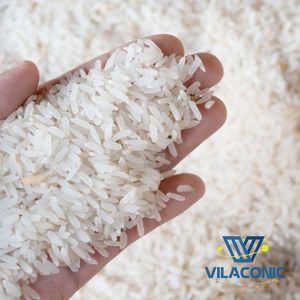 Riz Calrose à grains moyens séché de la meilleure qualité |   Texture dure, naturellement sucrée |   pour les repas quotidiens au sushi - Product Image 6
