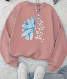 Hardihood International Women's Pink Crew Neck <b>Sweatshirt</b> Blue Flower Print Long Sleeve <b>Vintage</b> Oversized Knitted Top Spring - Product Image 5