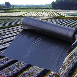 ม้วนแผ่นพลาสติก LDPE สีดำขนาด 200 ไมครอน สำหรับงานก่อสร้าง ผลิตจากโรงงานในเวียดนาม พร้อมพิมพ์ออฟเซ็ต - Product Image 5