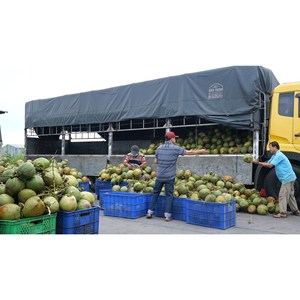 Buen Precio Proveedor Mayorista 460ml Botella de vidrio Agua de coco orgánica Directorio de proveedores de Vietnam USDA Organic - Product Image 4