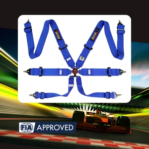 Racing Safety Supplier TBRACING ECO FIA Approved 6 Point Harness Polyester Webbing Steel Hardware Brand Wholesale Custom Color - Product Image 1