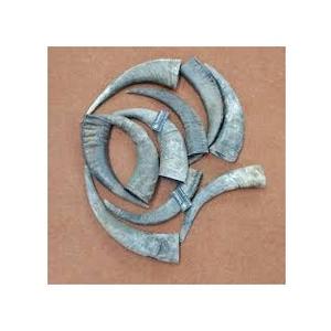 Cuerno de búfalo y vaca crudo de calidad natural, listo para exportar a bajo costo, en venta. - Product Image 3