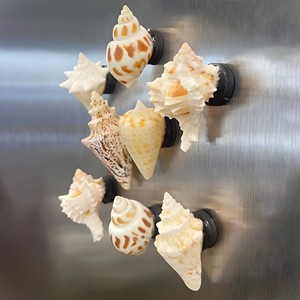 Imán de nevera personalizado con varios diseños, imanes de nevera de conchas marinas hechos a mano a bajo precio - Product Image 3