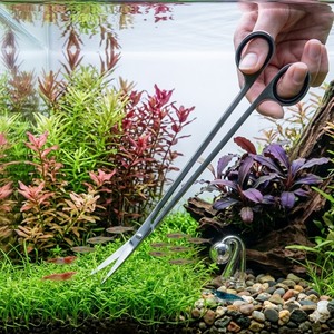 Tijeras Curvas para Acuario de 10 Pulgadas de Largo, Acero Inoxidable, Herramienta de Poda para Acuarios, Venta al por Mayor de Fábrica - Product Image 1