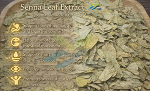 Extrait de feuille de séné naturel de qualité alimentaire, fourni directement par l'usine HGO, avec des sennosides A+B 10% standardisés - Product Image 5