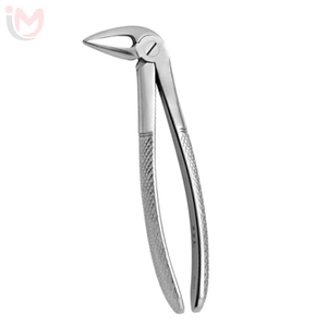 Forceps d'extraction dentaire manuel en acier inoxydable pour molaires inférieures, instrument chirurgical de classe I pour l'extraction dentaire - Product Image 5