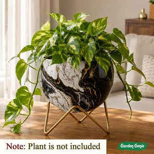 Pot de fleurs en métal design Lily avec soucoupe, pour intérieur et extérieur, article de décoration pour plantes de jardin, décoration florale, cadeau de pendaison de crémaillère - Product Image 5