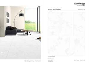 กระเบื้องพอร์ซเลนลายแกะสลักแบบคลาสสิก ขนาด 600x1200 มม. สำหรับตกแต่งผนัง พื้น ภายในและภายนอกอาคาร - Product Image 5