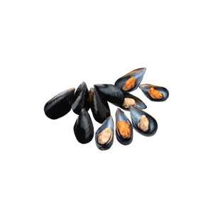 Importadores de Mariscos, Mejillones con Concha, Importación y Exportación de Mariscos Congelados, Mejillones Congelados de Alta Calidad en Media Concha - Product Image 6