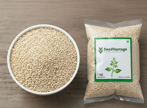 Semillas de Sésamo Blanco |   Aceite Natural Premium de Alta Calidad, Descascarado y Limpio |   Contenido Fresco y Nutritivo de Grado Alimenticio |   Suministro a Granel de Semillas de Sésamo - Product Image 3