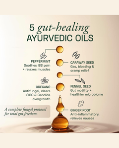 Cápsulas Herbales Naturales IBS Gastro Pro para la Digestión, Alivio de Gases y Hinchazón, Equilibrio del Microbioma Intestinal y Bienestar - Product Image 5