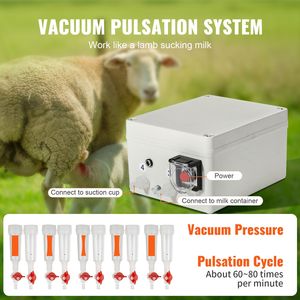 Ordeñadora Eléctrica Portátil Automática por Pulsación al Vacío, 3L, con Cubeta de Acero Inoxidable 304, para Cabras y Ganado - Product Image 4
