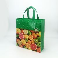 Bolsa de Polipropileno No Tejido con Impresión de Serigrafía Personalizada en Vietnam, Bolsa de Mano OEM/ODM con su Diseño, Precio Económico