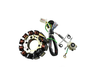 Bobina de estator de 12 polos para Honda CBZ modelo antiguo, calidad de exportación para piezas de repuesto de motocicletas en India, Orado. - Product Image 1