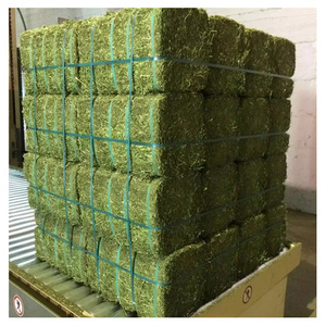 Heno de Alfalfa de Alta Calidad para Ganado, Caballos, Cerdos y Peces - Empaque a Granel - Product Image 6