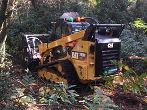 2026 CAT Skid Steer Loader with Forestry Mulcher Attachment Compact Track Loader Hydraulic Mulching <b>Machine</b> for Land Clearing - Product Image 5