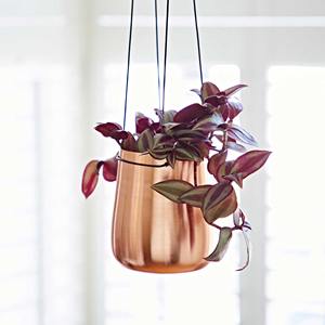 Jardinière murale simple en métal finition cuivre pour la décoration de cuisine, entrée, balcon, fenêtre et jardin - Product Image 6