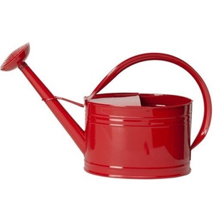 Gorgeous Metal <b>Water</b> <b>Can</b> Vase Premium Decorative Container <b>for</b> Elegant Home Hotel Restaurant <b>Garden</b> Table Display - Product Image 4