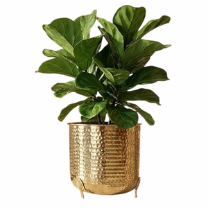 Maceta de Metal Dorado Martillado con Planta Verde, Decoración de Jardín Interior, Estilo Minimalista, para Escritorio - Product Image 4