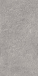 ENDLESS 020 GRIS 800x1600mm Carreaux en porcelaine à surface brillante - Design moderne style ferme pour supermarché et usage extérieur - Product Image 1