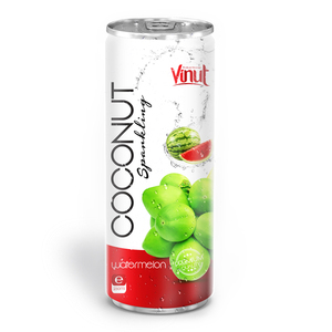 Agua con gas de coco de primera calidad de 250ml con jugo de piña Jugo de frutas y verduras enlatado - Product Image 6