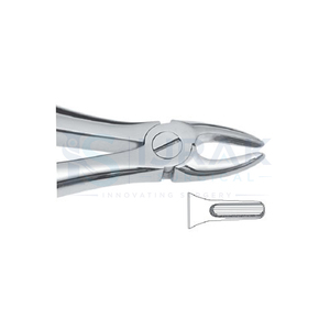 Forceps d'extraction dentaire en acier inoxydable, forceps manuels pour dents, griffes chirurgicales pour usage clinique - Product Image 3
