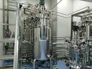 Fermentador Automático <span class=keywords><strong>de</strong></span> Acero Inoxidable 316L <span class=keywords><strong>de</strong></span> 150L, Biorreactor, Recipiente a Presión, Motor y Bomba para Cultivo <span class=keywords><strong>de</strong></span> E. Coli y Operón <span class=keywords><strong>de</strong></span> Lactosa - Product Image 6