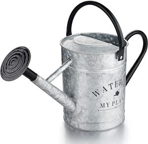 Regadera de Metal Galvanizado de Diseño Moderno y Elegante para Plantas de Balcón y Decoración de Jardín - Product Image 1