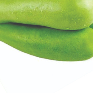 Courge en bouteille saine, légume frais, récolte verte, ingrédient culinaire, produit agricole de qualité, vente en gros, approvisionnement en vrac, exportation fraîche - Product Image 6