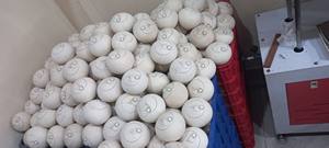 Coco Entero Pulido de Fácil Apertura para Exportación - Diseño Conveniente, Cáscara Limpia - Product Image 6