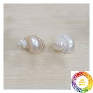 Natural Shell Napkin Ring Handmade Coastal <b>Table</b> <b>Accessory</b> for Wedding Banquet Dining Events and Rustic Home <b>Decor</b> - Product Image 4