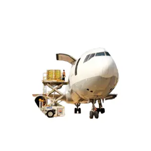 物流运输代理中国到印度FREIGTH航空服务灵活满足所有需求