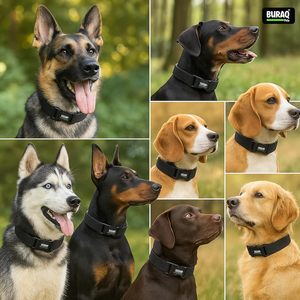 Tactical Dog <b>Collar</b> OEM ODM Custom Logo Heavy Duty Adjustable Dog <b>Collar</b> Direct Manufacturer - Product Image 6