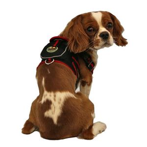 Pettorina in rete per animali domestici con tasca: accessorio comodo ed elegante per il tuo amico peloso - Product Image 5