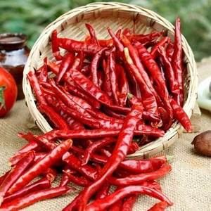 Chiles Rojos Secos Enteros Directo de Fábrica con Color Intenso y Sabor Fuerte para Cocina y Uso Industrial en Alimentos - Product Image 4