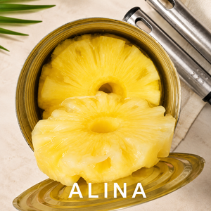 Ananas en conserve incroyablement délicieux fabriqué au Vietnam - Ananas en conserve en tranches de qualité supérieure - Ananas en conserve // Mme Alina - Product Image 1