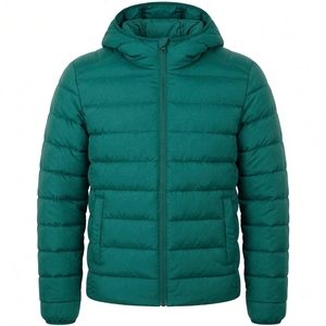 Manteau à capuche pour homme, couleur turquoise, coupe ample, fermeture éclair décontractée, léger, col rond, polyester, couleur unie, vêtement d'extérieur 150g-200g - Product Image 1